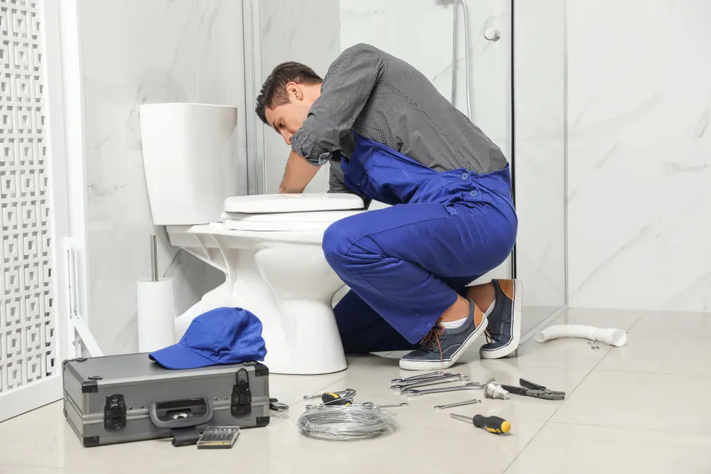 Toilet Repair in Jackson